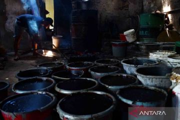 Produksi cincau hitam di bulan Ramadhan