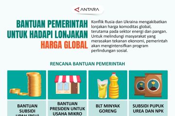 Bantuan pemerintah untuk hadapi lonjakan harga global