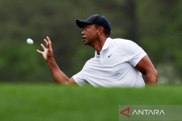 Tiger Woods umumkan akan kembali bertanding golf di Los Angeles