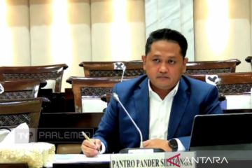 Pantro Pander: Perlu pematangan kerangka pengawasan industri asuransi