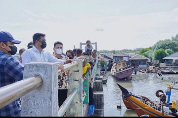 Wali Kota Medan sebut gandeng PUPR bangun tembok laut Belawan