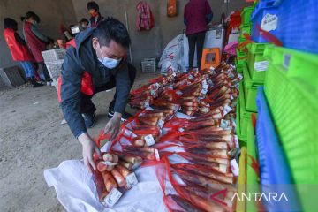 Distribusi rebung untuk Shanghai yang memberlakukan lockdown imbas COVID-19