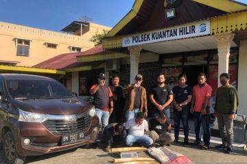 Polisi Riau ringkus pelaku jual beli gading gajah di Kuansing