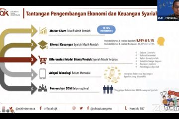 OJK: "Market share" hingga SDM jadi tantangan ekonomi syariah