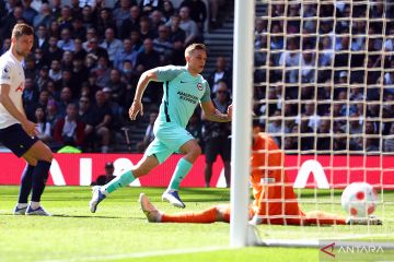 Tottenham Hotspur ditaklukkan Brighton 0-1 di kandang