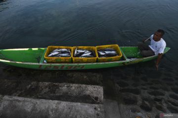 Potensi Ikan Tangkap Indonesia