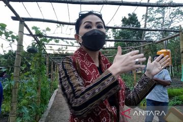 Dekranasda dorong kaum muda di NTT jadi desainer tenun ikat