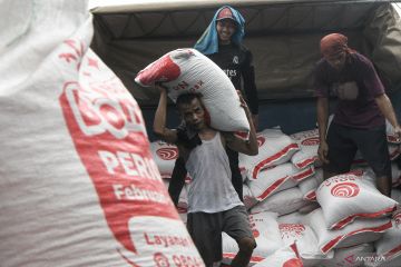 Bulog salurkan kedelai harga lebih rendah ke pengrajin tahu-tempe