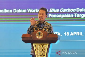 Menteri Kelautan: Kemampuan ekonomi karbon biru RI sangat besar