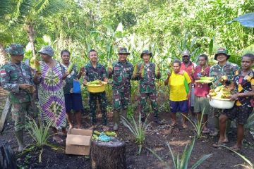Satgas Yonif 123/Rajawali bersama warga Kampung Kalimaro panen jagung