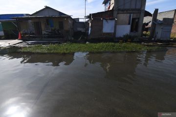Terendam Pasang Laut
