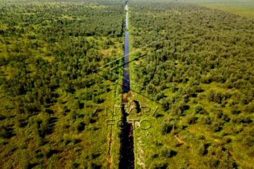 Ekspansi Akasia Di Hutan Lindung Gambut Jambi