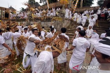 Tradisi perang sampian di Bali