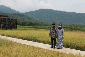 Ma'ruf Amin kagumi kawasan wisata Bukit Menoreh di Jawa Tengah