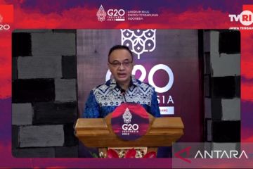 Presidensi G20 Indonesia peluang akselerasi transisi energi Indonesia
