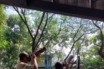 Peringati Hari Bumi, aktivitas Ecopark Ancol diramaikan fotografer