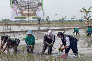 Pemprov Jatim gandeng Maxxi Tani percepat penanaman padi