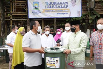 Sandiaga Uno dorong masyarakat maksimalkan program juragan lele lalap