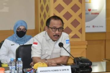 Anggota DPR: Enam pemkab diminta siapkan pasar komoditi petani