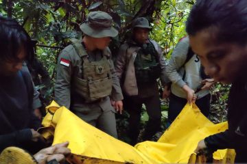 Satu DPO MIT Poso tewas ditembak Satgas Madago Raya