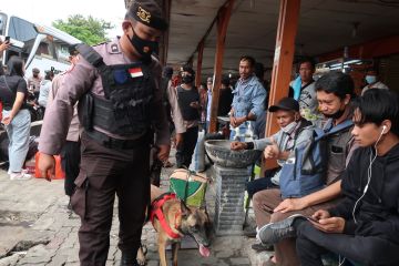 Polisi hadirkan anjing pelacak sisir peledak dan narkoba di Kalideres