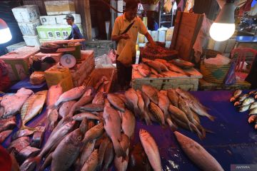 KKP ajak masyarakat konsumsi olahan ikan asli Indonesia