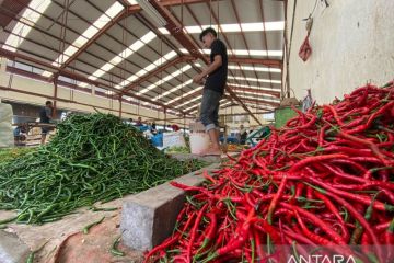 Harga cabai dan sejumlah bahan pokok di Aceh naik jelang Idul Fitri