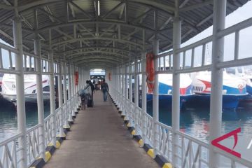 Delapan kapal cepat angkut ribuan penumpang rute Batam-Dumai