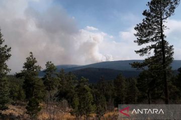 Kebakaran hutan terbesar AS di New Mexico, api dekati Las Vegas