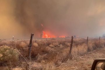 Angin kencang perparah kebakaran hutan Arizona, 20.000 hektar hangus