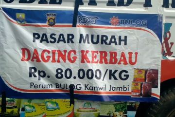 Operasi pasar daging kerbau Bulog Jambi diserbu warga