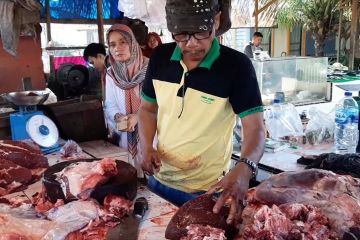 Pemotongan sapi di Padang meningkat