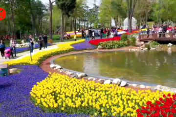 Festival Tulip di Istanbul manjakan mata dengan bunga aneka warna