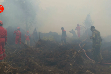 Langkah strategis Pemprov Riau dalam pencegahan karhutla