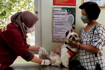 Peringati WVD, Distan Semarang gratiskan vaksin rabies