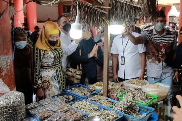 Upaya memastikan keamanan bahan baku pangan di Padang