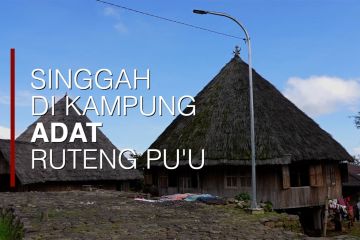 Susur Kultur - Singgah di Kampung Adat Ruteng Pu'u