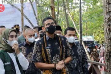 Sandiaga Uno sebut Mangrove Langsa Aceh pabrik oksigen terbesar