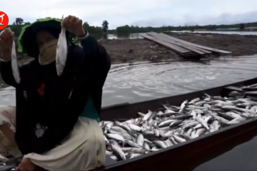 KKP: Stok dan harga ikan di bulan Ramadhan 2022 aman