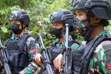 TNI perketat pengawasan jalur inspeksi perbatasan RI-Malaysia