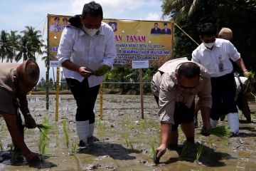 Kementan ajak petani Gorontalo budi daya tanaman sehat padi