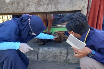 Distan Mukomuko pastikan kesehatan daging jelang Lebaran