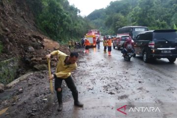 Longsor bebatuan hambat arus kendaraan di jalur Garut-Bandung