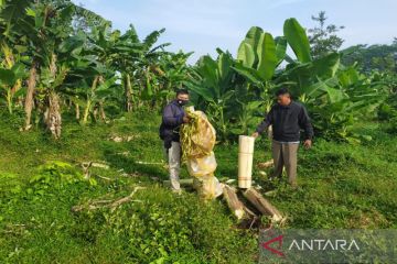 Polres Pekalongan sita puluhan balon udara