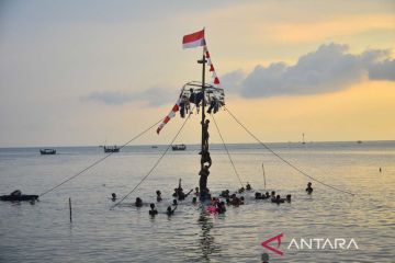 Lomba panjat pinang di laut saat tradisi lebaran ketupat