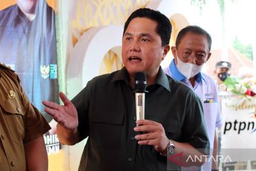 Menteri BUMN: Pelabuhan Panjang jadi alternatif kelancaran logistik