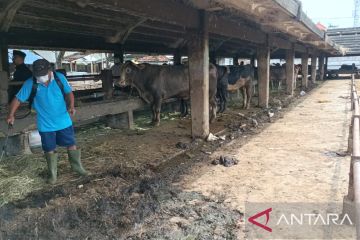 RPH Surabaya tolak sapi dari empat daerah