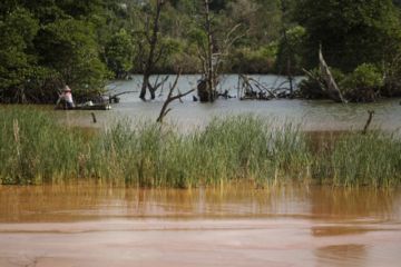 Limbah Tambang Pasir Cemari Hutan Mangrove Di Batam