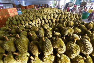 Buah-buahan asal Asia Tenggara manfaatkan RCEP untuk masuki pasar China