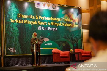 Pemerintah perhatikan dinamika minyak sawit dan jaga stabilisasi